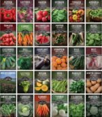 Survival Garden Seeds Home Garden Collection - 30 Pack with 18,500+ Non-GMO Heirloom Vegetable, Fruits, Herb Seed Varieties for Planting - Plant & Grow Survival Food & Emergency Preparedness Gear - Image 2