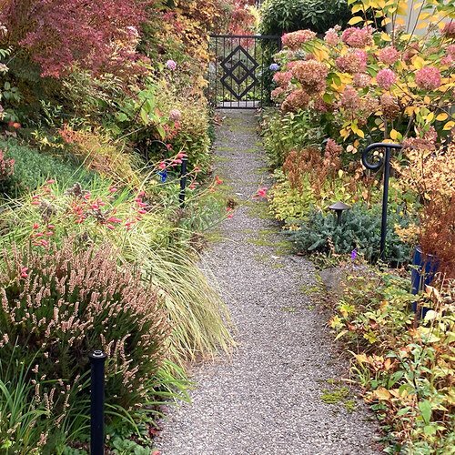 GPOD-Raulerson-fall-walkway-with-Limelight-hydrangea-thumb-1x1.jpg