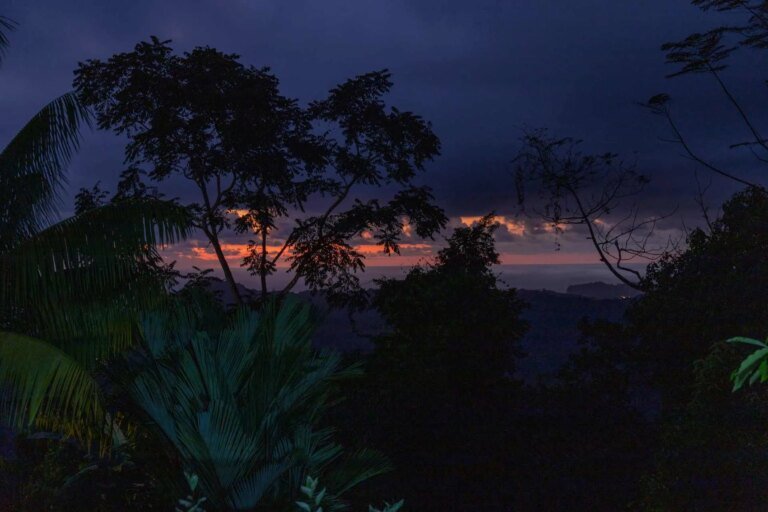 after-dark-wellness-trek-costa-rica-Raik-Haeder-iStock.jpg